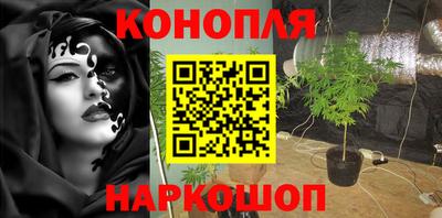 мдпв Партизанск