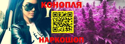 мдпв Партизанск