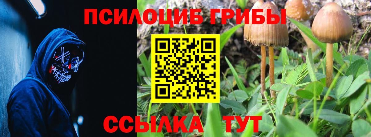 Бутурлиновка  Галлюциногенные грибы MAGIC MUSHROOMS  Вход с VPN 